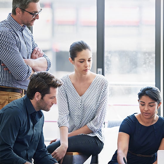 Working Group